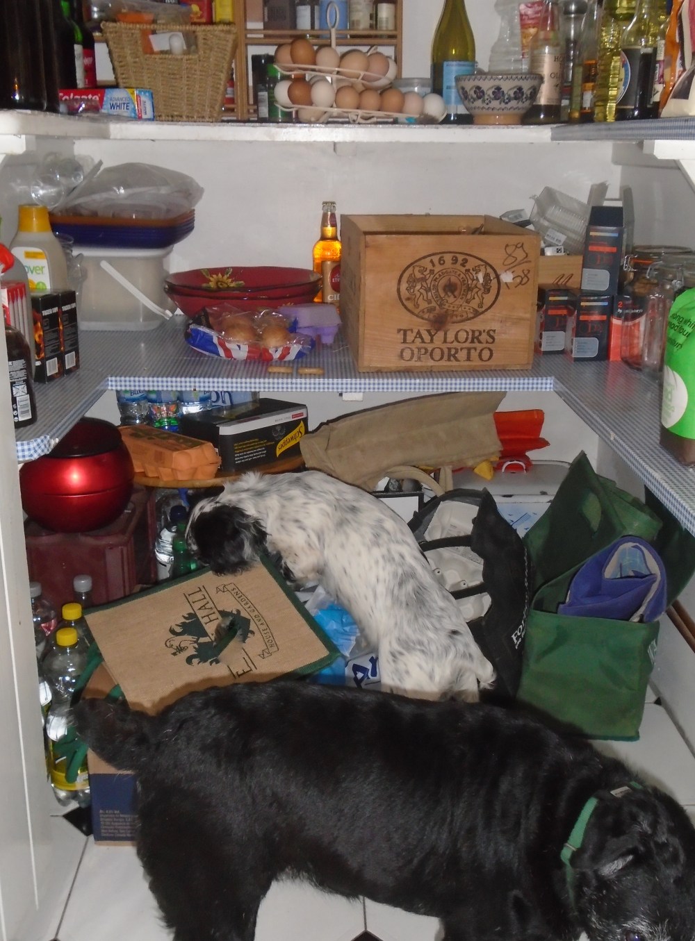 Arabella's Ambrosia 018